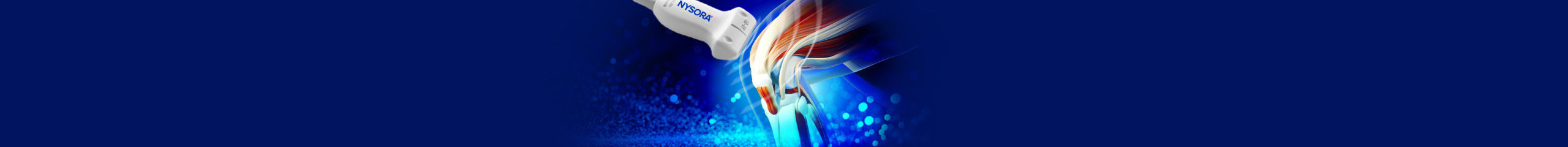 Ultrasound MSK for the Knee